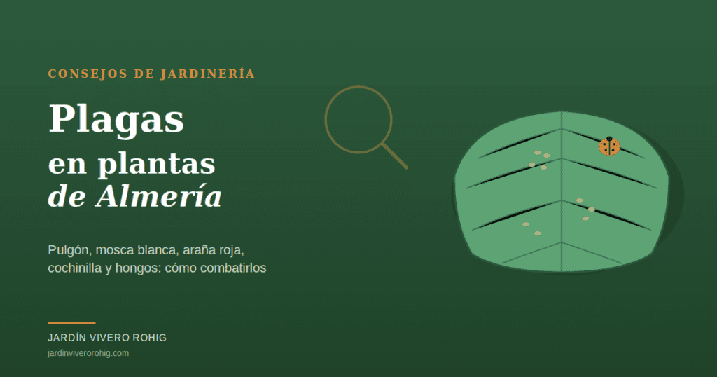 Hoja con pulgón y mariquita, control de plagas en el jardín almeriense