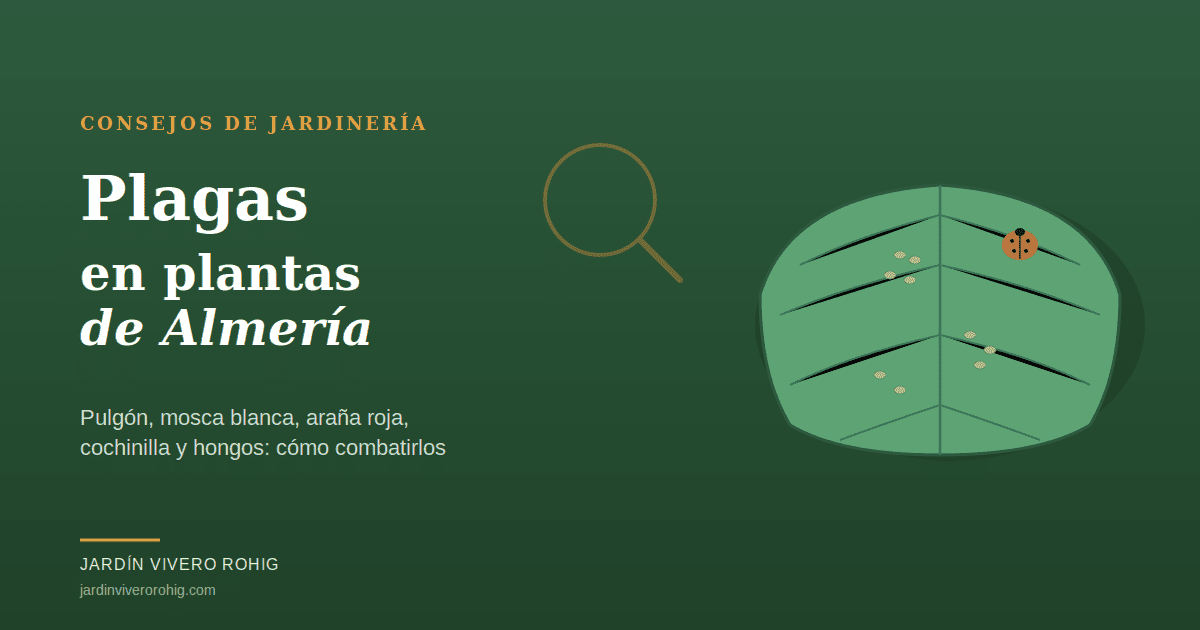 Hoja con pulgón y mariquita, control de plagas en el jardín almeriense