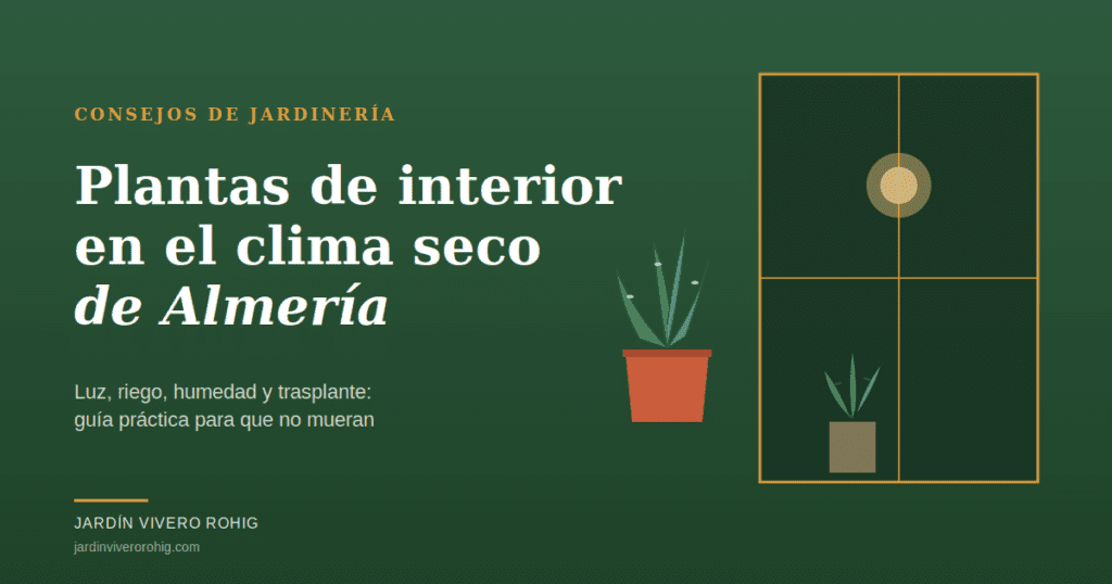 Plantas de interior bien cuidadas en un salón almeriense