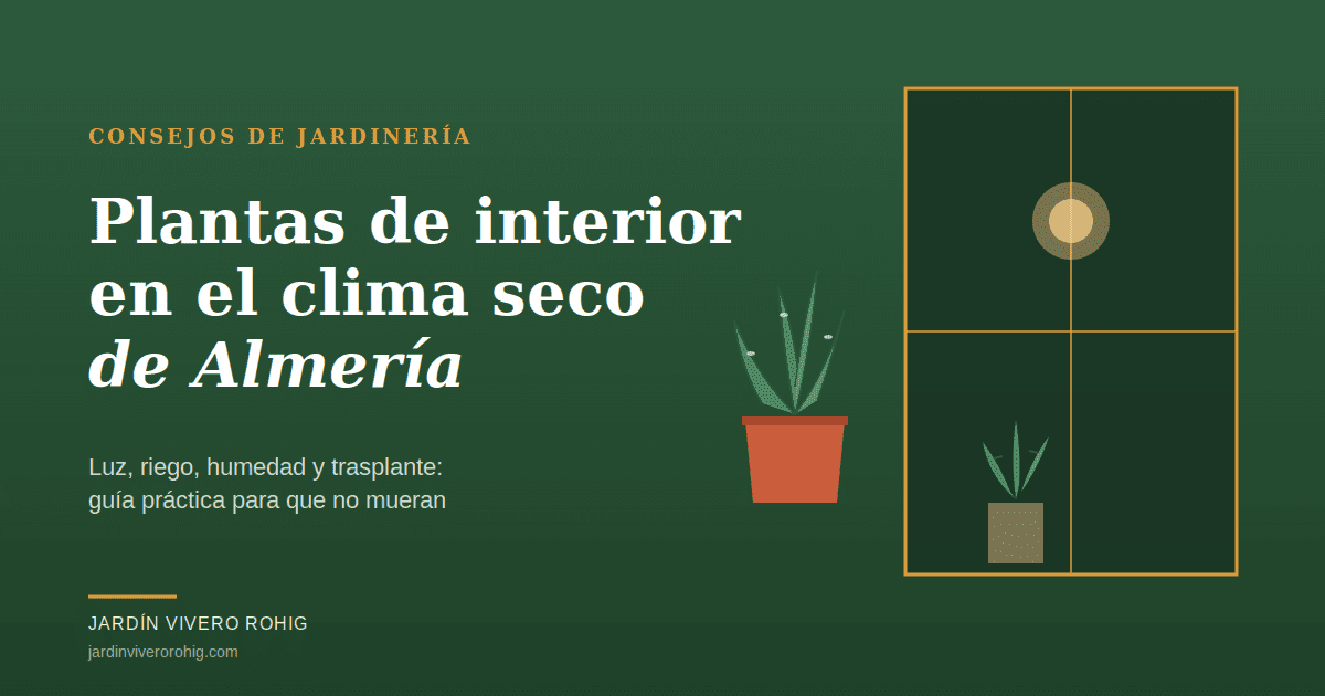 Plantas de interior bien cuidadas en un salón almeriense