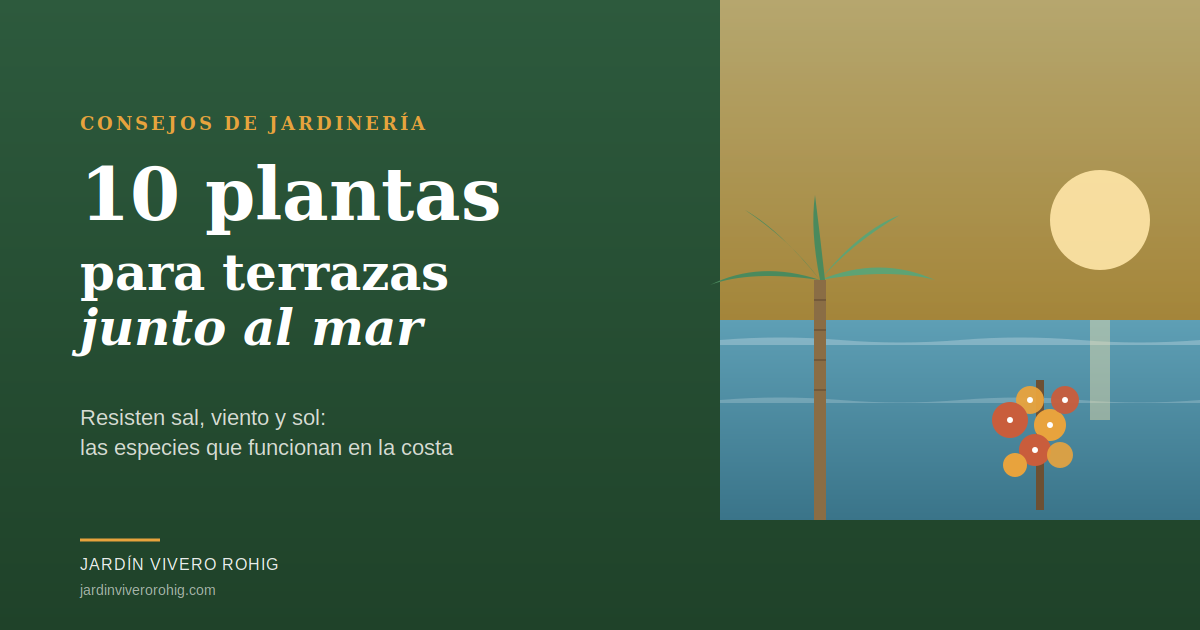 Palmera y buganvilla al atardecer junto al mar en Almería