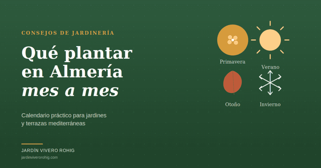 Blog de jardinería - Qué plantar en Almería mes a mes