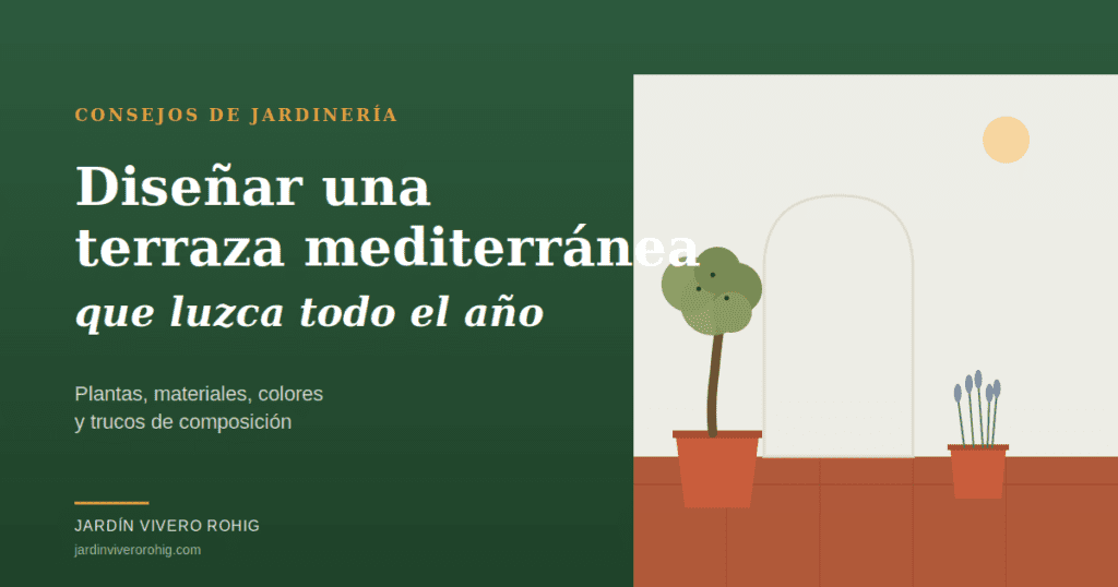 Terraza mediterránea con olivo y lavanda en macetas de terracota