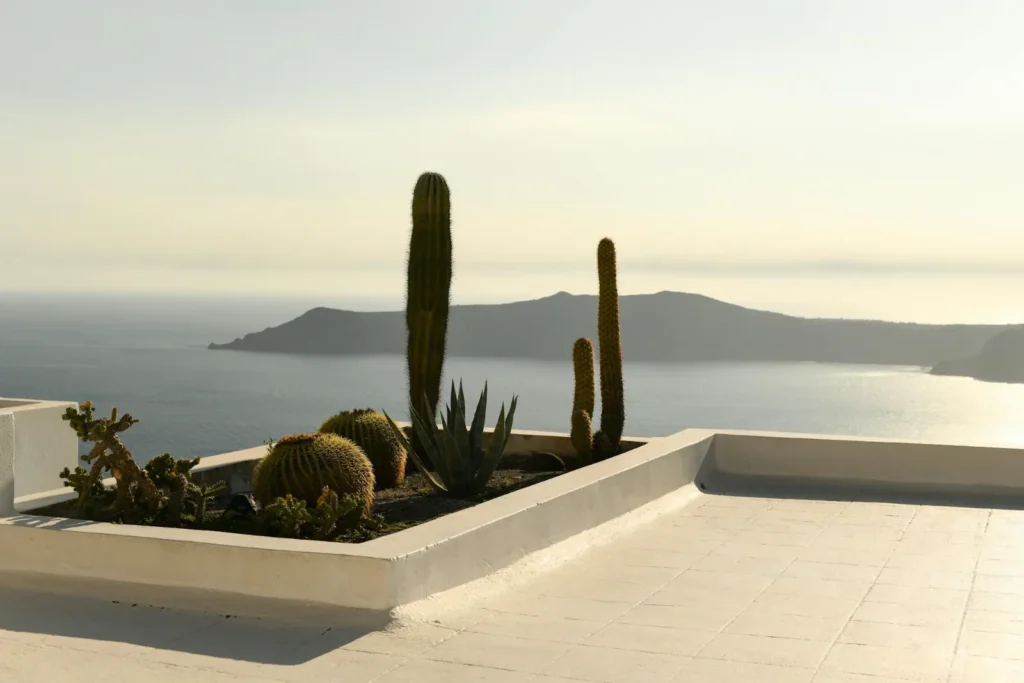 Terraza mediterránea con cactus y vista al mar - guía de diseño Almería
