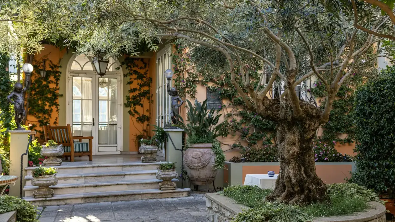 Diseño de jardines en Almería: jardín mediterráneo con olivo formado y escalera de piedra